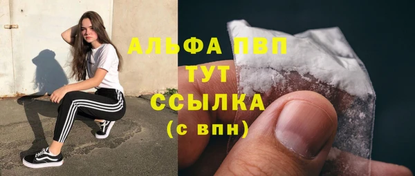 сатива Бородино