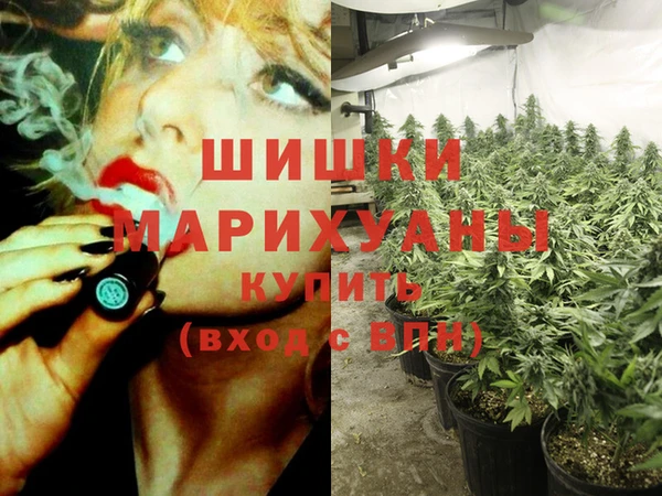 ГАЛЛЮЦИНОГЕННЫЕ ГРИБЫ Семилуки