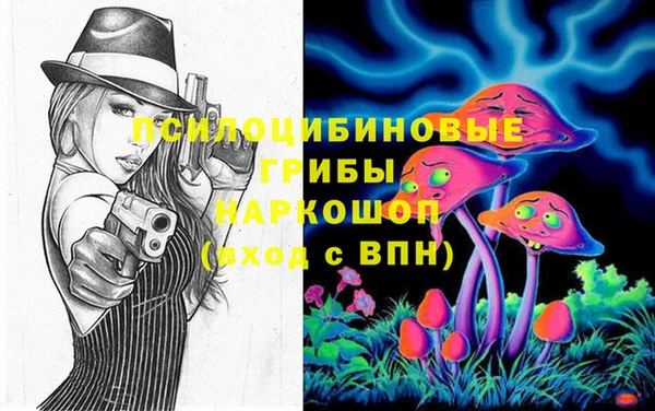 ГАЛЛЮЦИНОГЕННЫЕ ГРИБЫ Семилуки