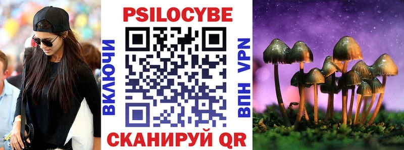 Псилоцибиновые грибы MAGIC MUSHROOMS  blacksprut ССЫЛКА  Ужур 